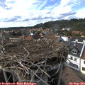16_40-nest.jpg