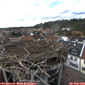 16_45-nest.jpg