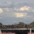 16_50-mast.jpg