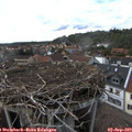 16_55-nest.jpg