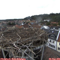 17_05-nest.jpg