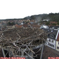 17_10-nest.jpg