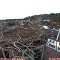 17_20-nest.jpg