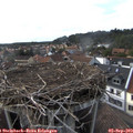 17_25-nest.jpg