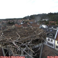 17_30-nest.jpg