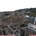 17_40-nest.jpg