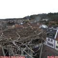 17_45-nest.jpg