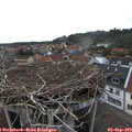 17_50-nest.jpg