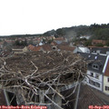 18_00-nest.jpg