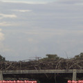 18_05-mast.jpg