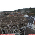 18_10-nest.jpg