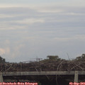 18_15-mast.jpg