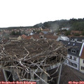18_15-nest.jpg