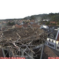 18_20-nest.jpg
