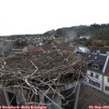 18_25-nest.jpg