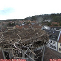 18_30-nest.jpg