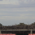 18_35-mast.jpg