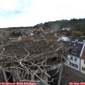 18_35-nest.jpg