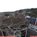 18_40-nest.jpg
