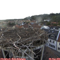 18_45-nest.jpg