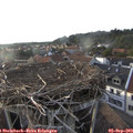 18_50-nest.jpg