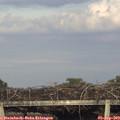 18_55-mast.jpg