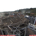 19_00-nest.jpg