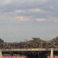 19_05-mast.jpg