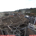 19_05-nest.jpg