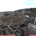 19_10-nest.jpg