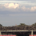 19_15-mast.jpg