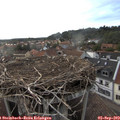 19_15-nest.jpg