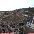 19_20-nest.jpg