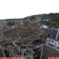 19_25-nest.jpg