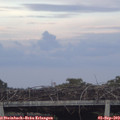 19_30-mast.jpg
