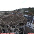 19_30-nest.jpg