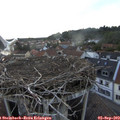 19_35-nest.jpg