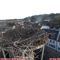 06_50-nest.jpg