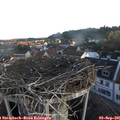 06_55-nest.jpg