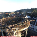 07_05-nest.jpg