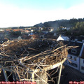 07_10-nest.jpg
