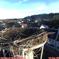07_20-nest.jpg