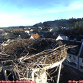 07_25-nest.jpg
