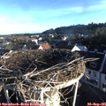 07_30-nest.jpg