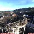 07_35-nest.jpg
