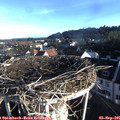 07_40-nest.jpg