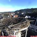 07_50-nest.jpg