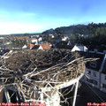 07_55-nest.jpg