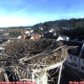 08_05-nest.jpg