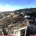 08_10-nest.jpg